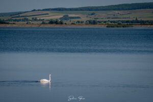 Bucecea, paradisul ascuns al Botoșaniului: imagini spectaculoase surprinse de Silviu Foca