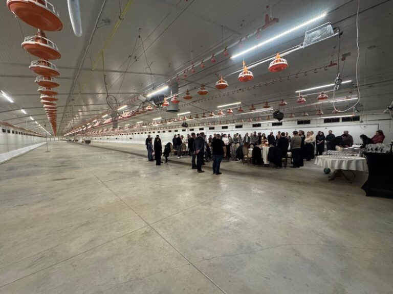 Investiție de 3 milioane euro la Bucecea: Vetex Farm inaugurează hale moderne și își extinde capacitatea la un milion de pui anual Investiție de 3 milioane euro la Bucecea: Vetex Farm inaugurează hale moderne și își extinde capacitatea la un milion de pui anual