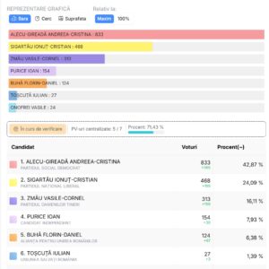 Comuna Mihai Eminescu are un nou primar. Andreea Gireadă a câștigat alegerile cu 508 voturi diferență