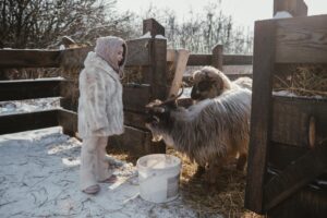 Ferma din Botoșani unde copiii uită de ecrane și învață ce înseamnă viața FOTO