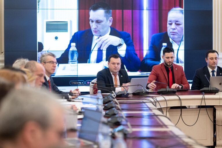 Proiectul privind organizarea piețelor volante a trecut de comisiile de fond din Senat Proiectul privind organizarea piețelor volante a trecut de comisiile de fond din Senat