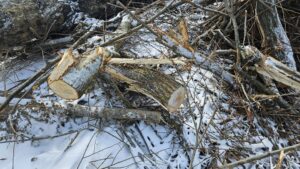 Garda de Mediu a oprit o balastieră într-o arie protejată Natura 2000. Amenzi de 125.000 de lei