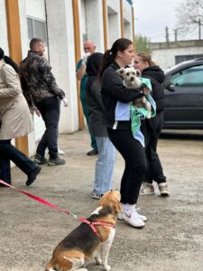 Flămânzi 3.0: 213 animale sterilizate în două zile – un model care funcționează