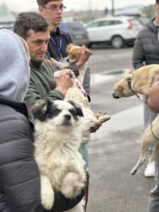 Flămânzi 3.0: 213 animale sterilizate în două zile – un model care funcționează