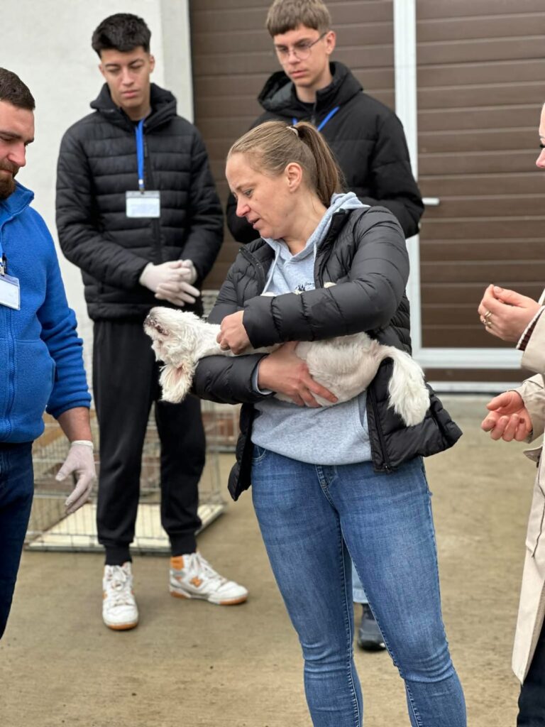 Flămânzi 3.0: 213 animale sterilizate în două zile – un model care funcționează