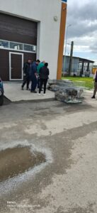Flămânzi 3.0: 213 animale sterilizate în două zile – un model care funcționează