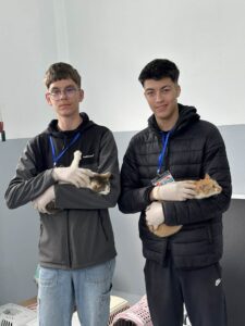 Flămânzi 3.0: 213 animale sterilizate în două zile – un model care funcționează