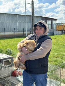 Flămânzi 3.0: 213 animale sterilizate în două zile – un model care funcționează