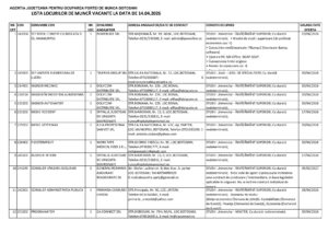 Locuri de muncă în Botoșani: programatori, ingineri, medici, confecționeri și constructori
