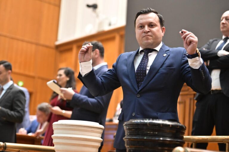 Cătălin Silegeanu vrea la guvernare: „AUR are program, oameni, legitimitate și capacitatea de a pune în aplicare măsurile prezentate”