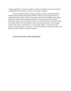 Cătălin Silegeanu: Gazele pot ajunge la 100 de euro/MWh chiar când expiră plafonarea facturilor